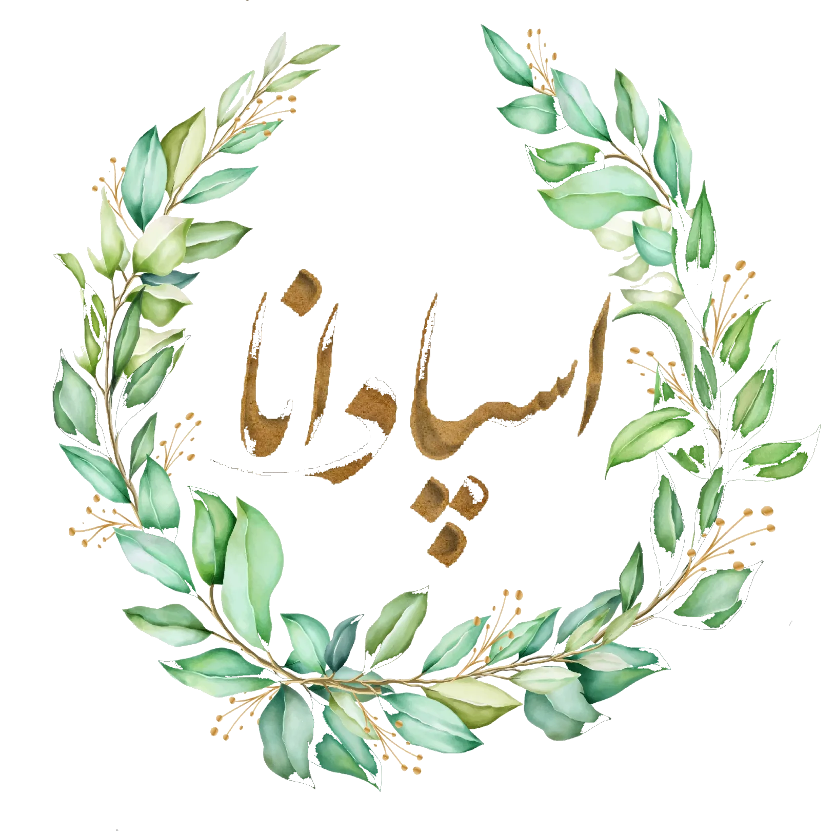 لوگوی مرکز ماساژ اسپادانا